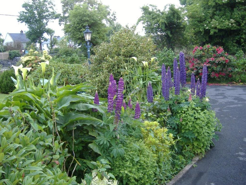 Riverwalk House B&B Oughterard Eksteriør billede