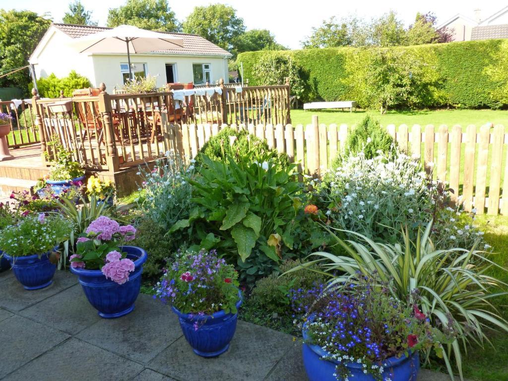 Riverwalk House B&B Oughterard Eksteriør billede